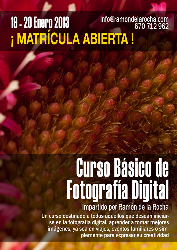 Curso Básico de Fotografía Digital en Tenerife