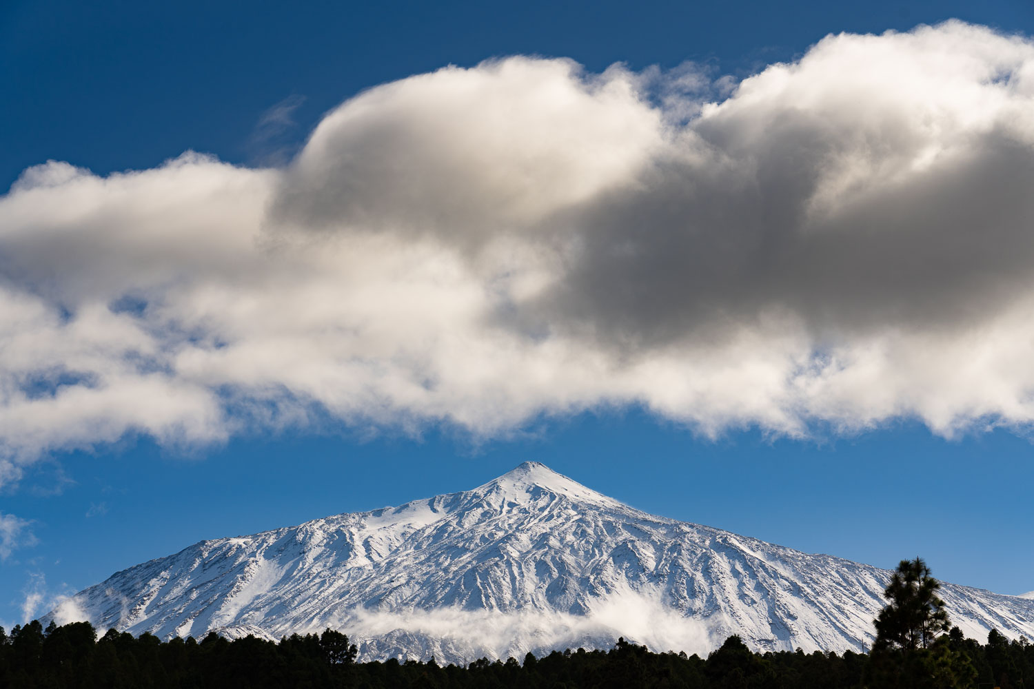 20210110-web-nieve-002