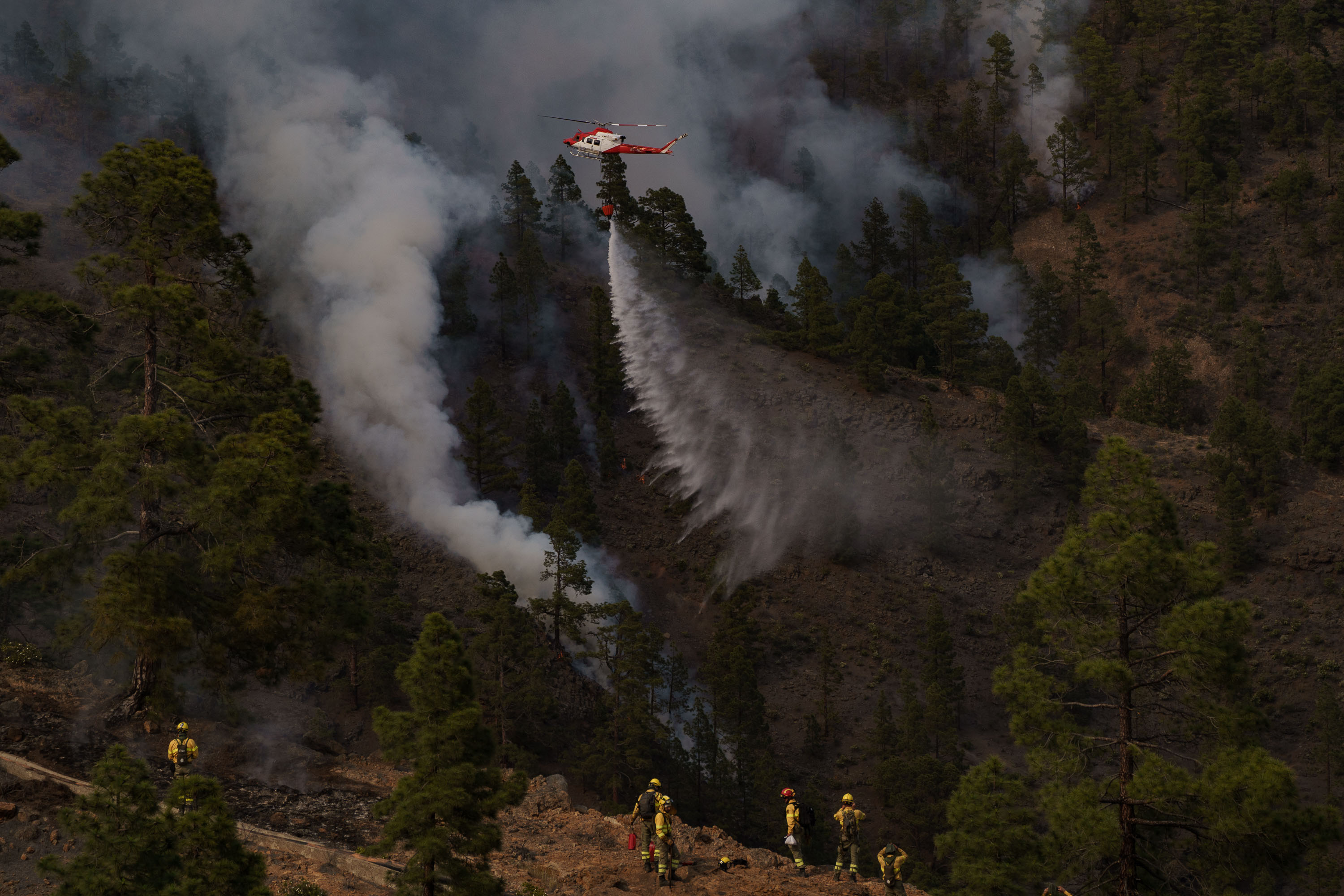 20210526-incendio-arico-008